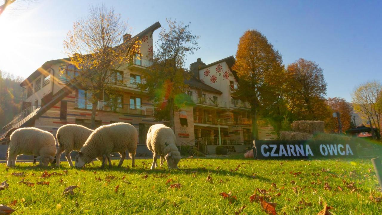 Hotel Piwniczna Spa&Conference Extérieur photo
